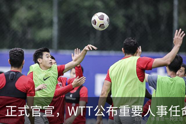 正式官宣，WTT公布重要人事任命，中国乒乓美女被提拔，正式上岗担任总监职务